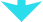 ds_nagare